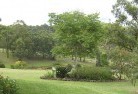 Eveleighresidential-landscaping-40.jpg; ?>